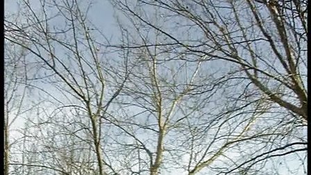 《世说新语》乡村医生孟凡珍