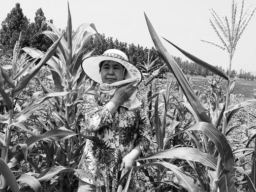 一位兵妈妈的家国情怀——记山东省第十一届“十佳兵妈妈”、唐口街道廉屯村村民王四姣